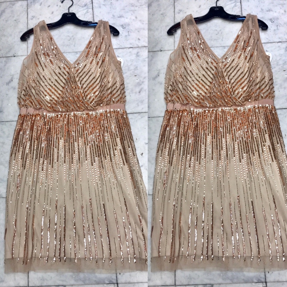 14W-24W Adrianna Papell Woman Size beaded dress - Picture 7 of 14